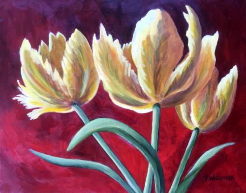 Yellow Parrot Tulips on Red