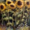 Elk Rapids Sunflowers (SOLD- reproduction available)