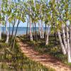 Birches on the Shore