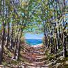 Saugatuck Dunes Path  (SOLD)