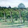 Fenn Valley vines, Acrylic