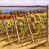 Vineyard on Mission Point, Acrylic (SOLD)