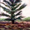 Fennville Pine, Acrylic (SOLD)