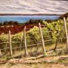 Vineyard on Mission Point (SOLD)